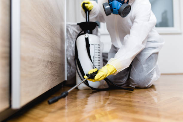 Best Bed Bug Extermination  in Mechanicstown, NY