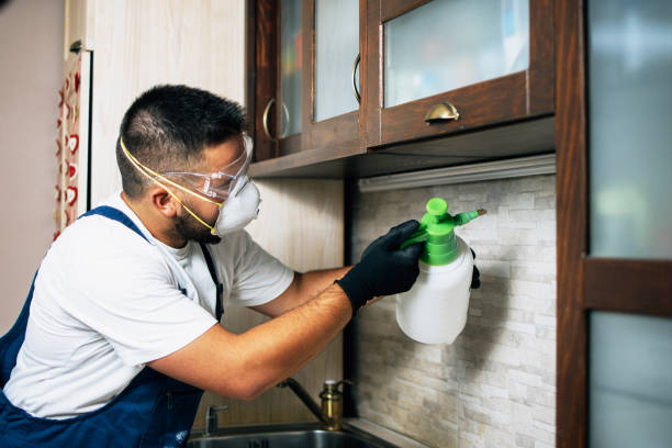 Best Exterminator Services  in Mechanicstown, NY