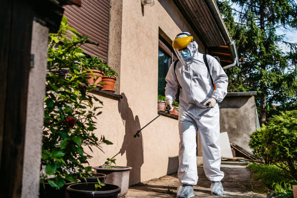 Best Mosquito Control Services  in Mechanicstown, NY