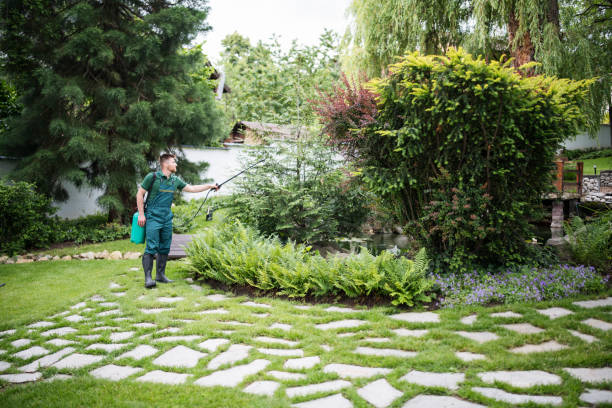 Best Best Pest Control Near Me  in Mechanicstown, NY