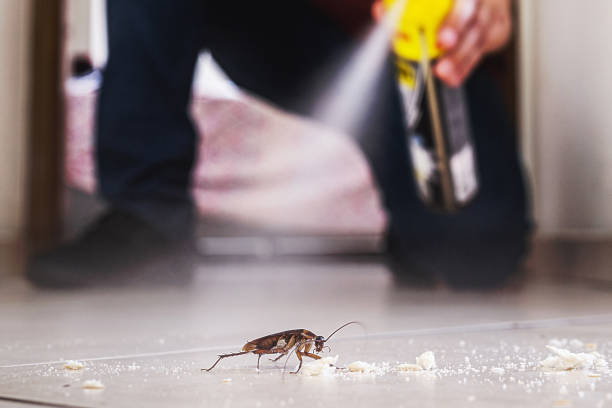 Best Pest Control Near Me  in Mechanicstown, NY