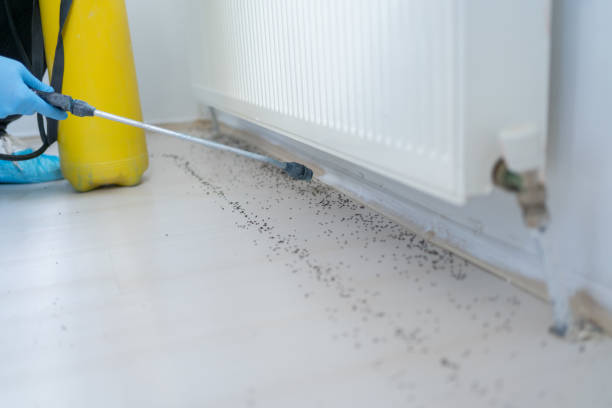 Best Best Pest Control Companies  in Mechanicstown, NY
