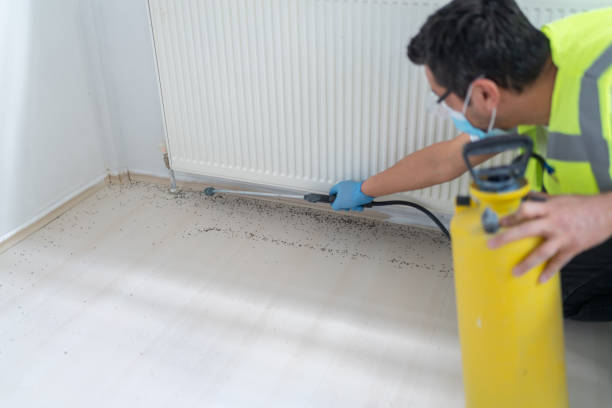 Best Pest Prevention Services  in Mechanicstown, NY