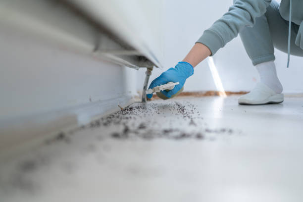 Best Residential Pest Control  in Mechanicstown, NY
