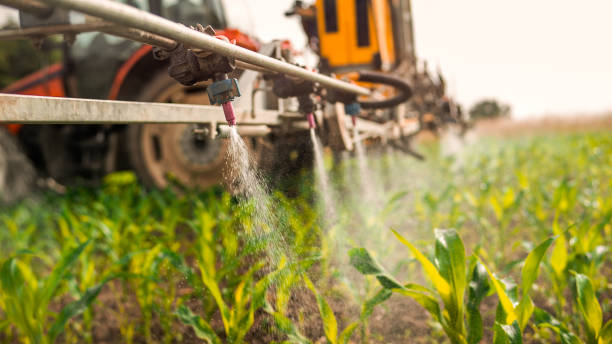 Best Insect Control  in Mechanicstown, NY
